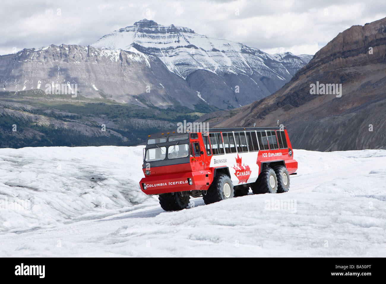 Athabasca Gletscher in Kanadische Rockies Stockfoto