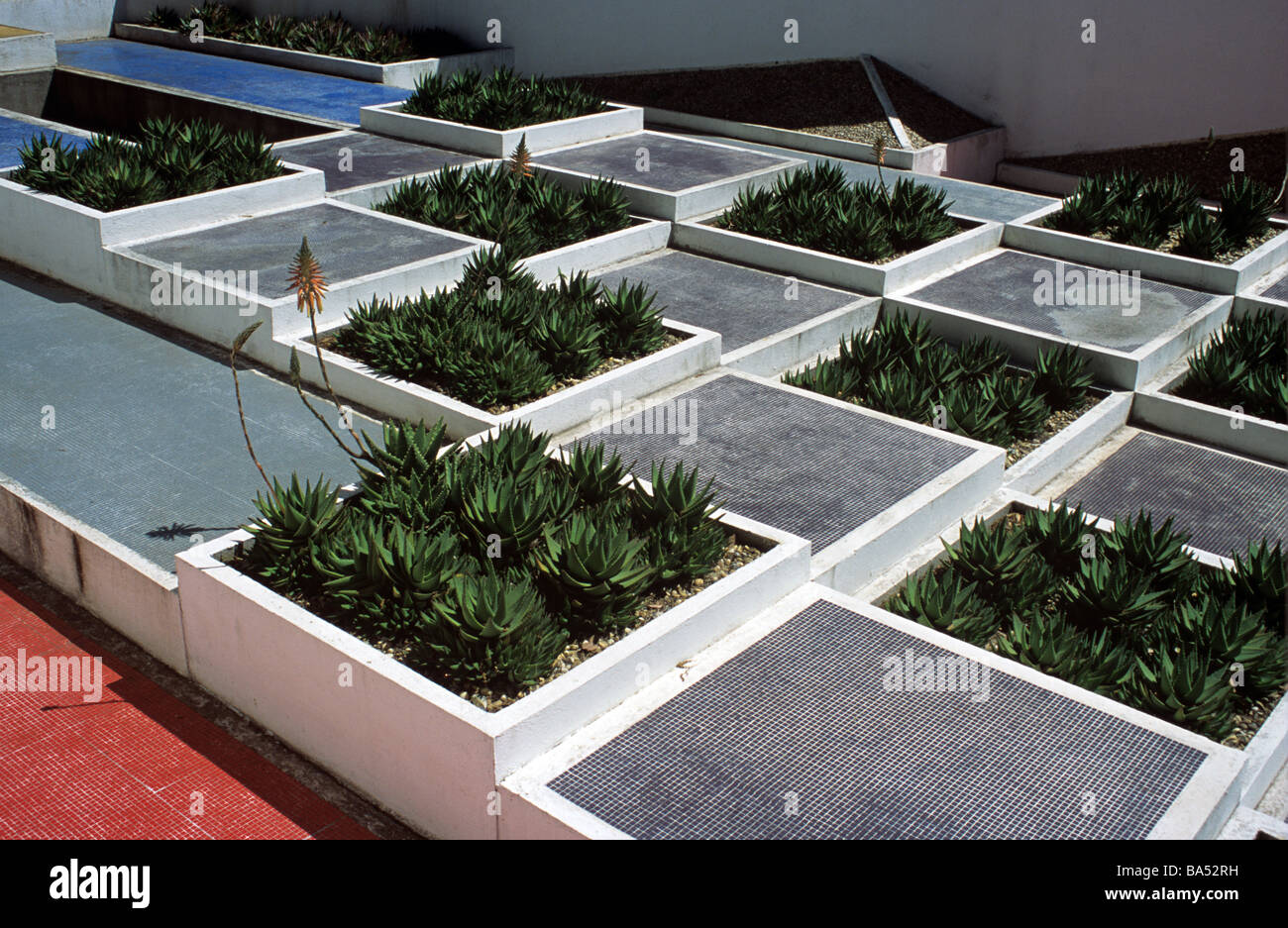 Kubistische Garten mit Blumenbeeten Square in Villa de Noailles (1924), Hyères, Département Var Provence, Frankreich Stockfoto
