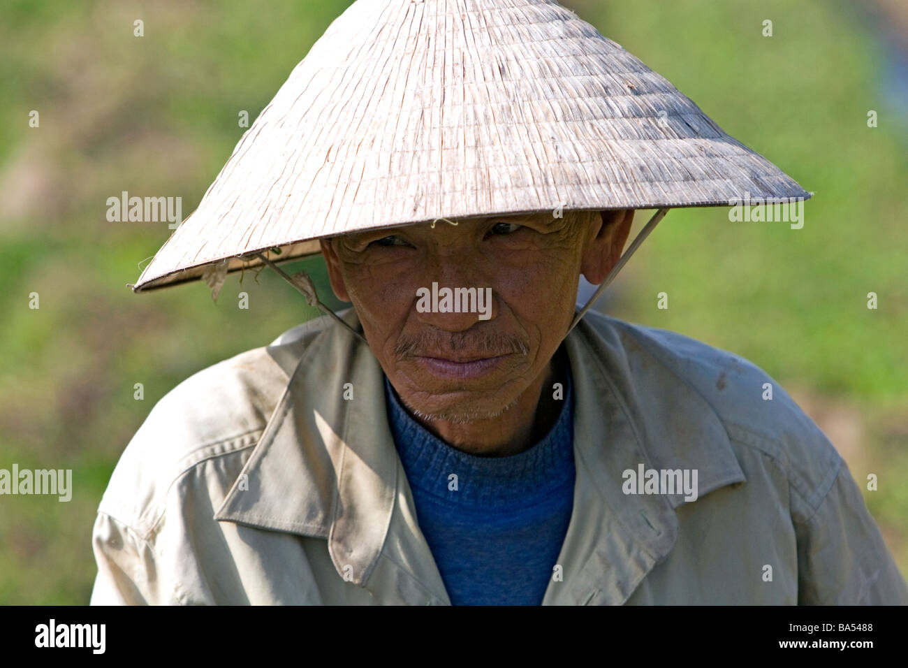 Vietnamesische Landwirt in der Nähe von Hue, Vietnam Stockfoto