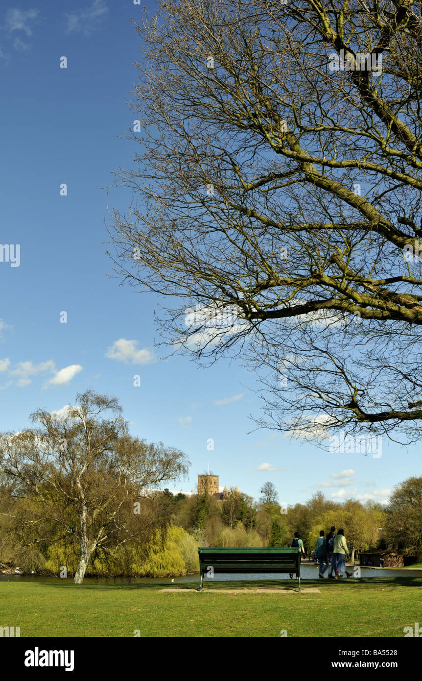 Frühling in Verulamium Park St Albans UK Stockfoto