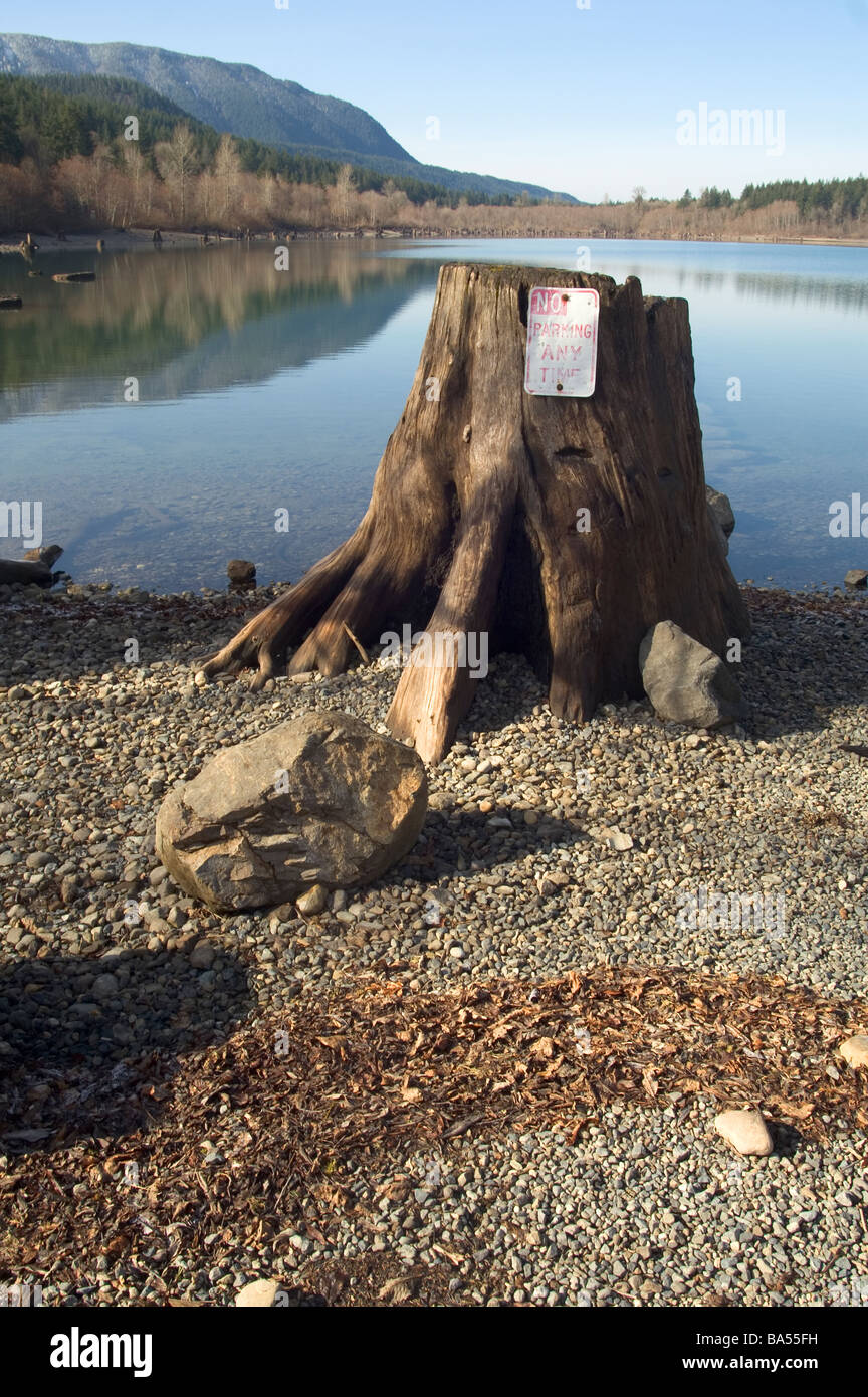 Rattle Snake Ridge hinter Klapperschlange Lake Washington Cedar Falls Road Stockfoto