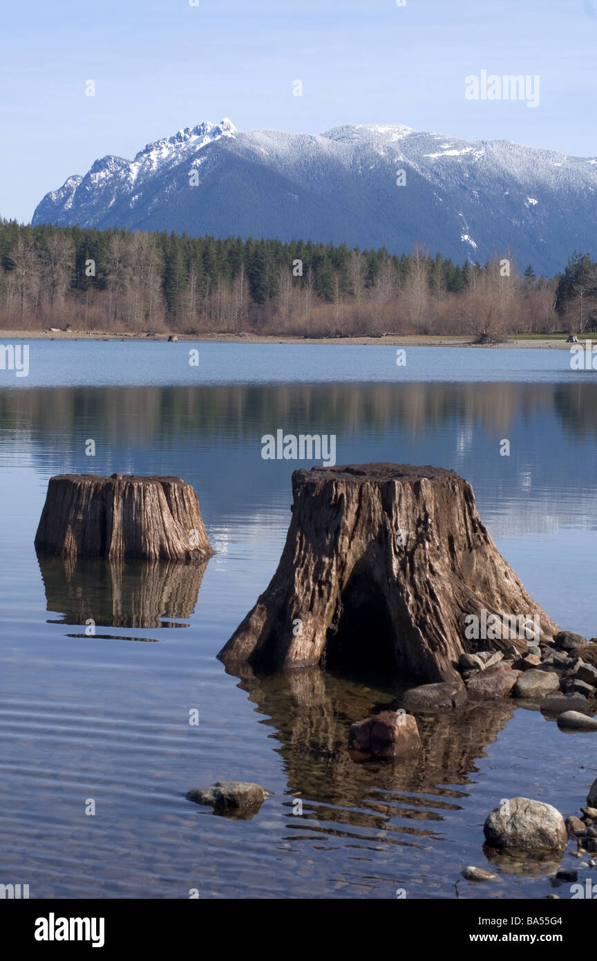Rattle Snake Ridge hinter Klapperschlange Lake Washington Cedar Falls Road Stockfoto