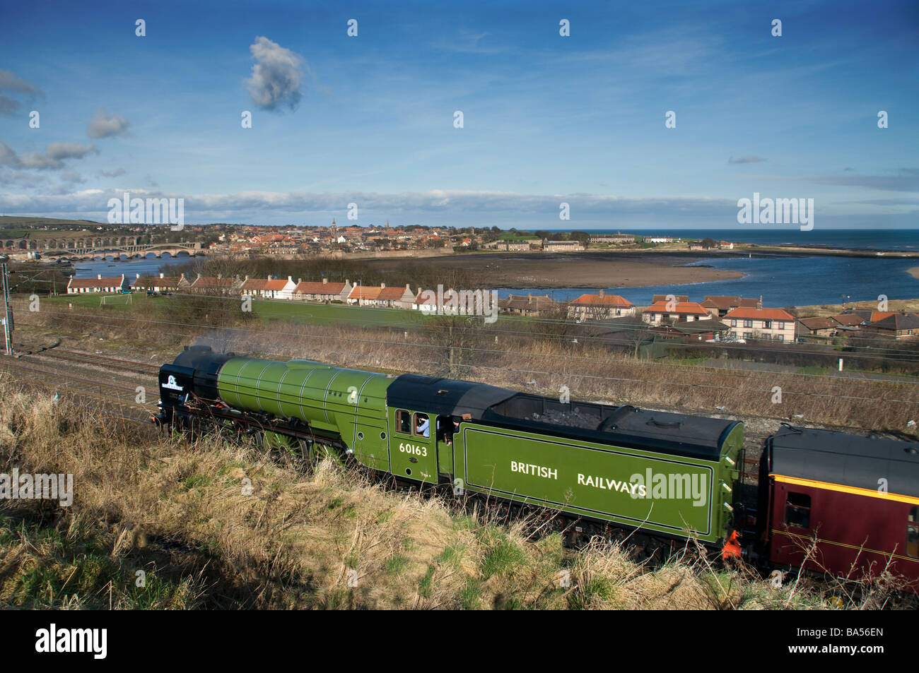 Die brandneue britische Dampflokomotive, Tornado Köpfe in Richtung der Royal Grenzbrücke in Berwick nach Tweed Stockfoto