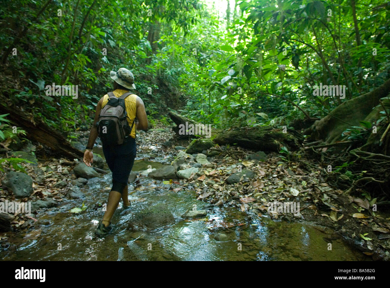 Ein Raubkatze Forscher Patrouillen Corcovado Nationalpark Stockfoto