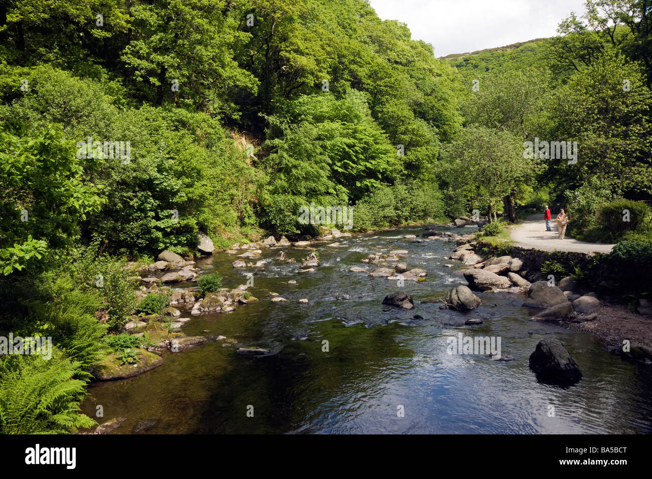 Der kleine Fluss im Watersmeet, Devon. Stockfoto