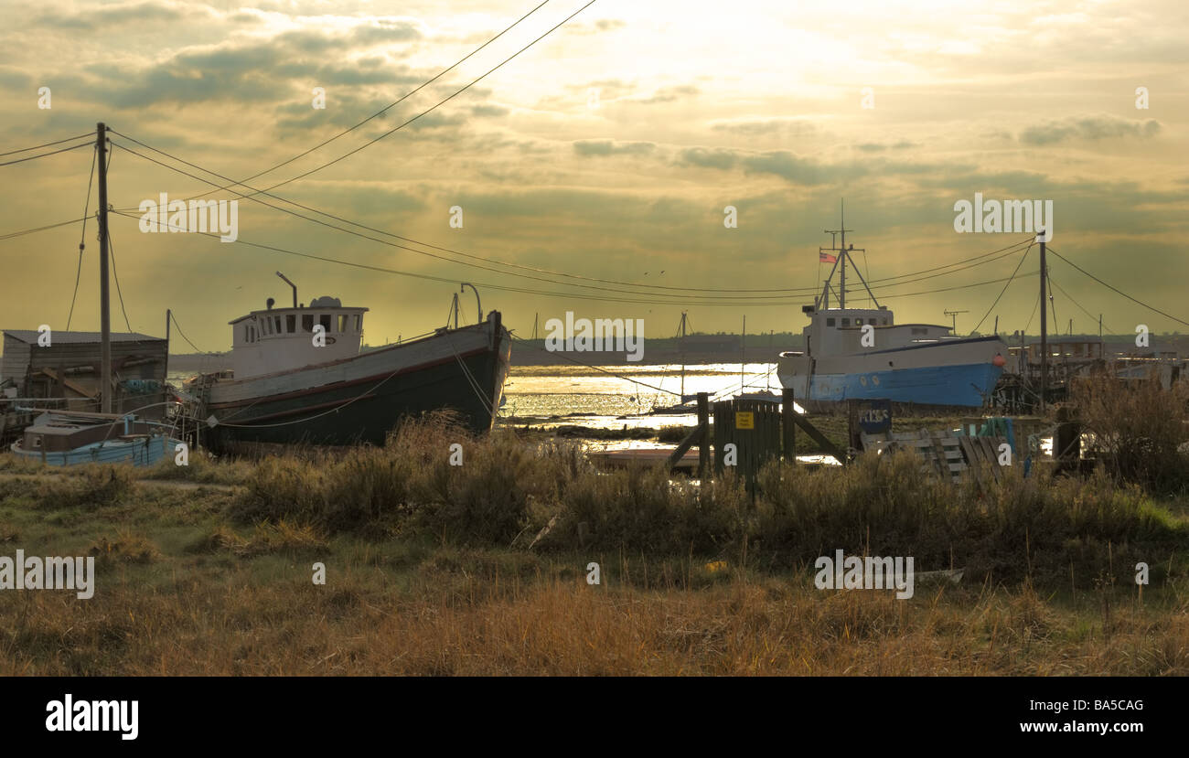 Hausboote auf West Mersea island Stockfoto