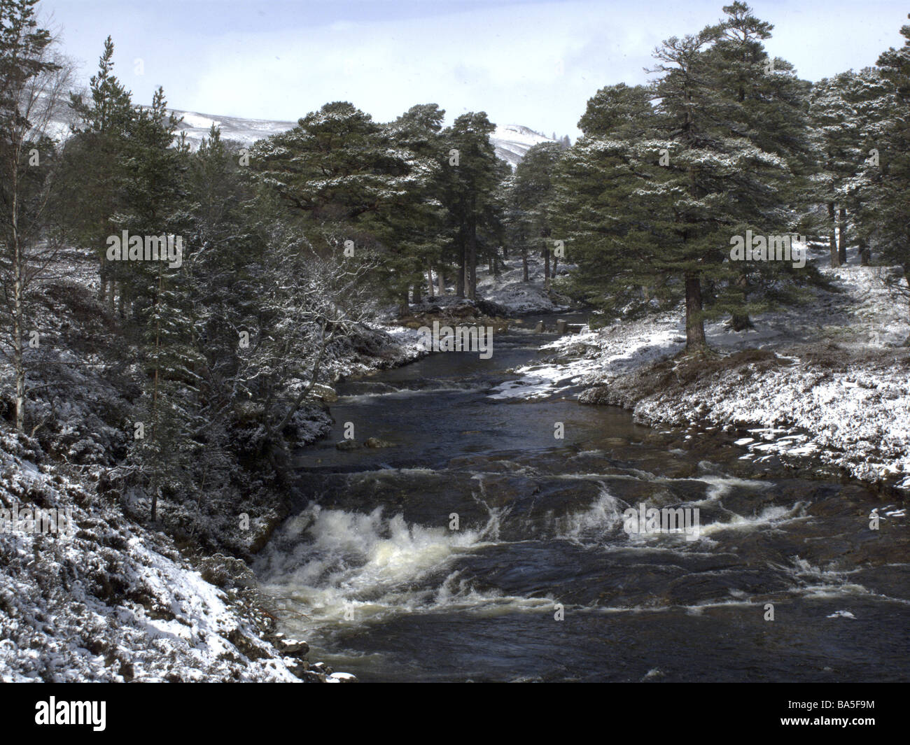 Linn of Dee in der Nähe von Braemar Schottland Stockfoto