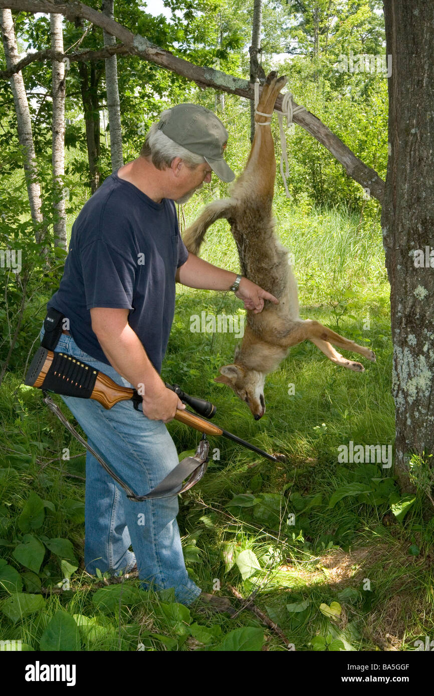 Jäger mit Toten Kojoten Stockfoto