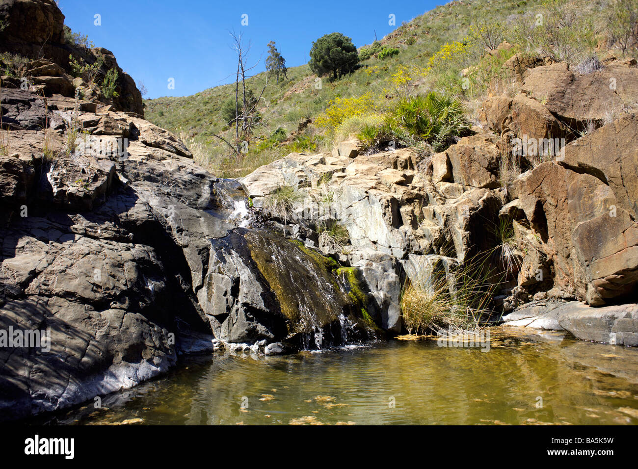 Bach in einen felsigen Pool an Enterrios, Mijas, Andalusien, Spanien, Europa Stockfoto