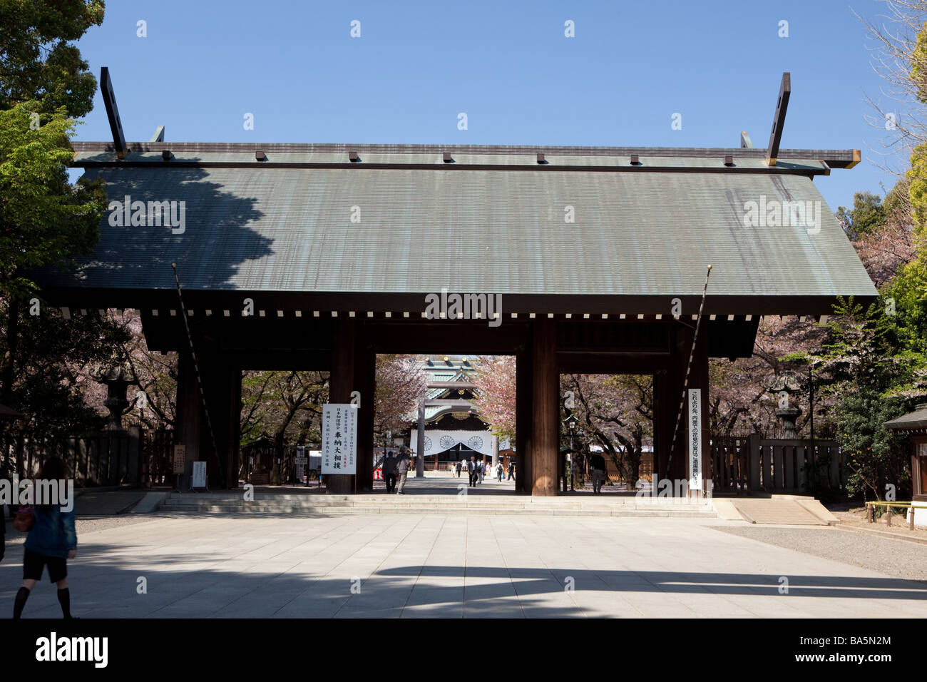 Eingang des Yasukuni Jinja in Tokio in Kirschblüte Stockfoto