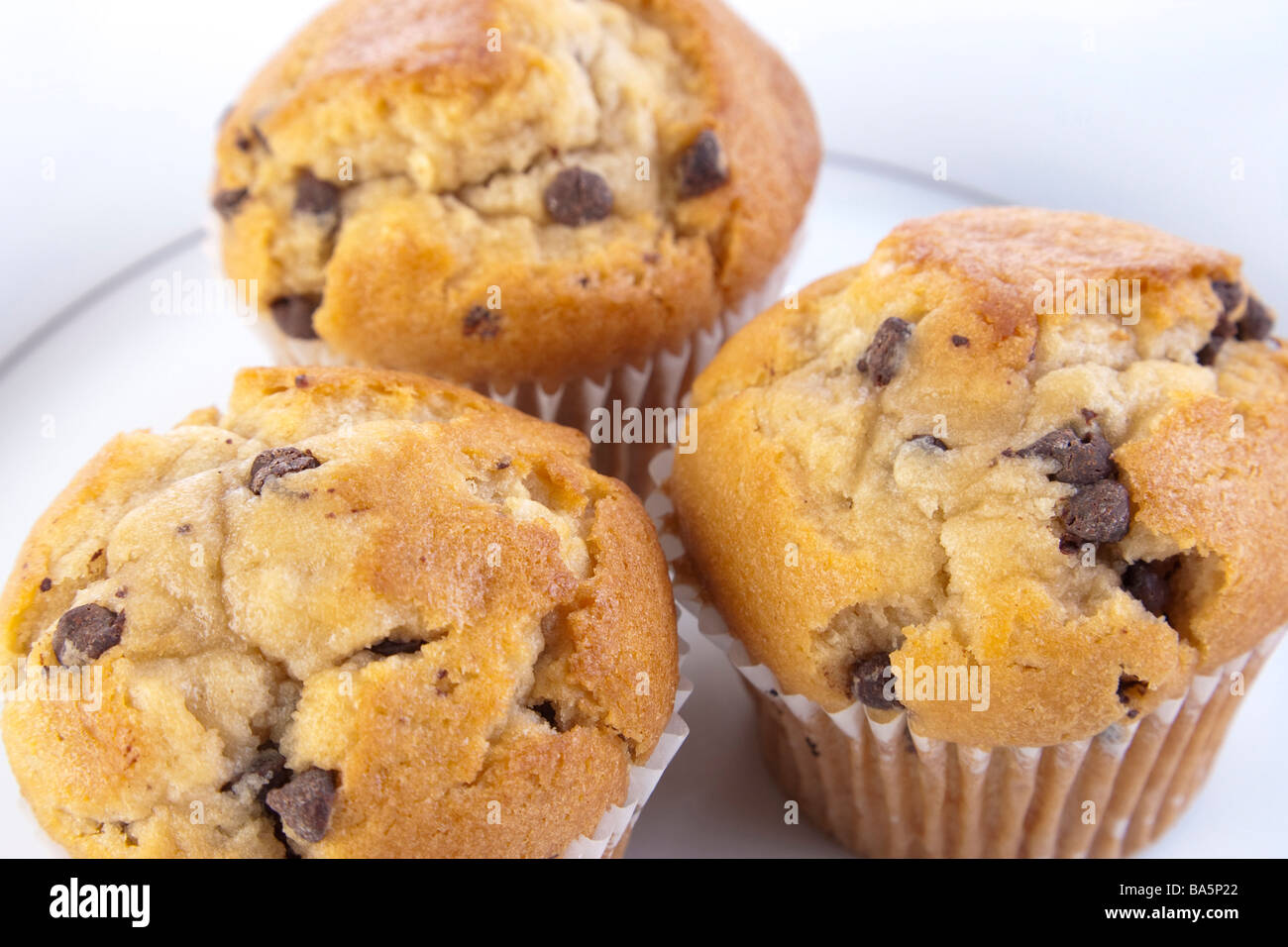 chocolate Chip Muffin Kuchen Stockfoto