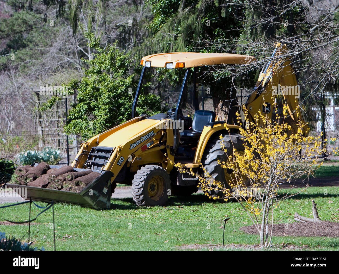 Eine gelbe Traktor mit einer Schaufel Belastung von frisch geschnittenem Rasen. Stockfoto