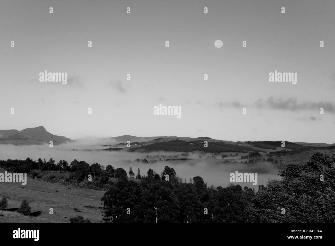 Am frühen Morgennebel im Tal schwarz / weiß Stockfoto