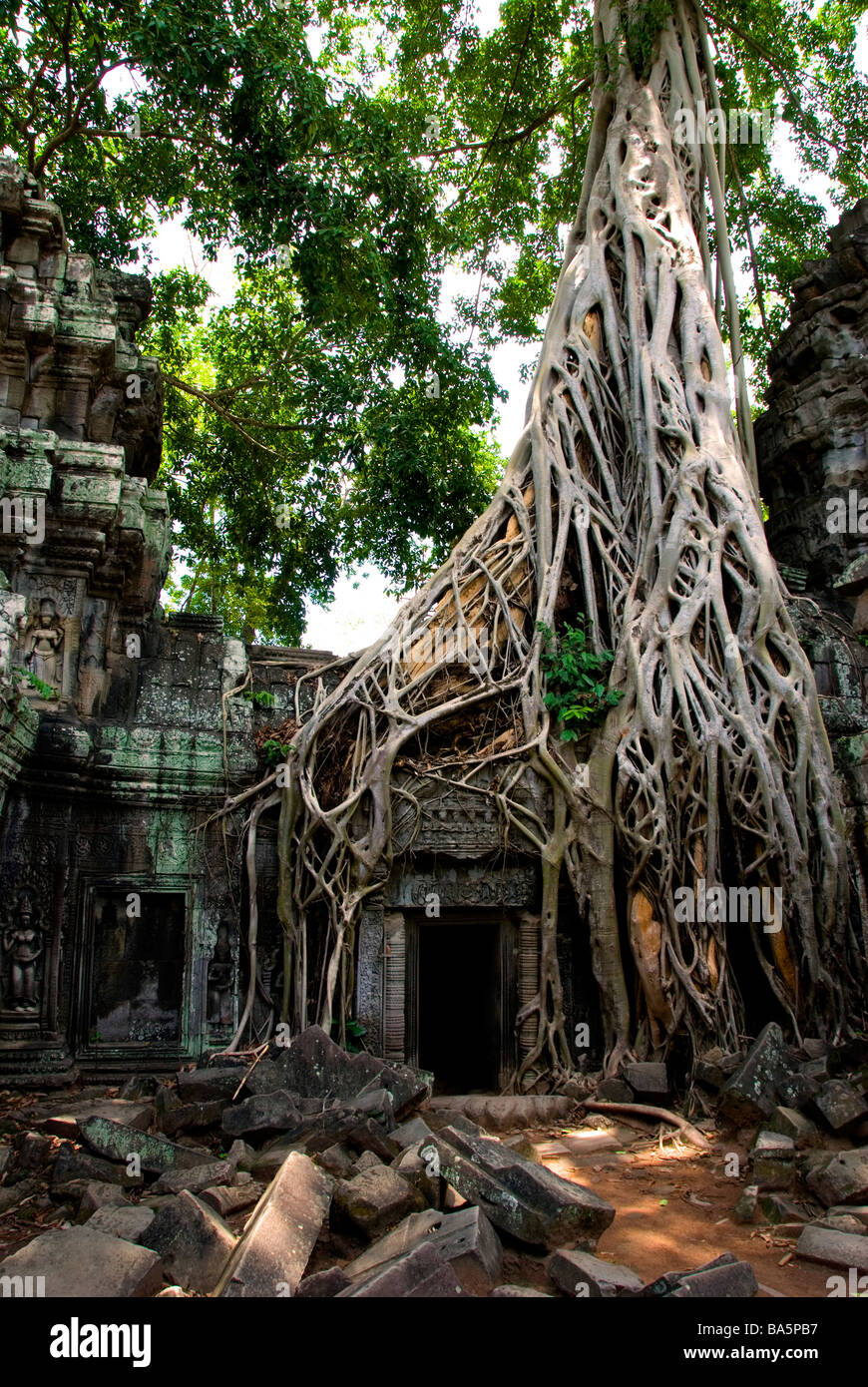 TA Phrom Tempel, Angkor, Siem Reap, Kambodscha, Asien Stockfoto