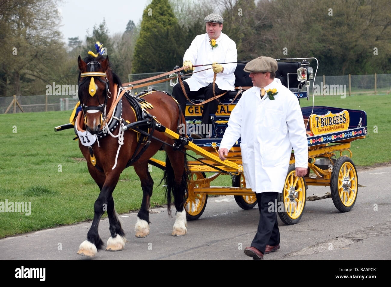 Mann an der Spitze eines braunen Hengstes ziehen einen Wagen bei der London Kabelbaum Pferdeparade Stockfoto