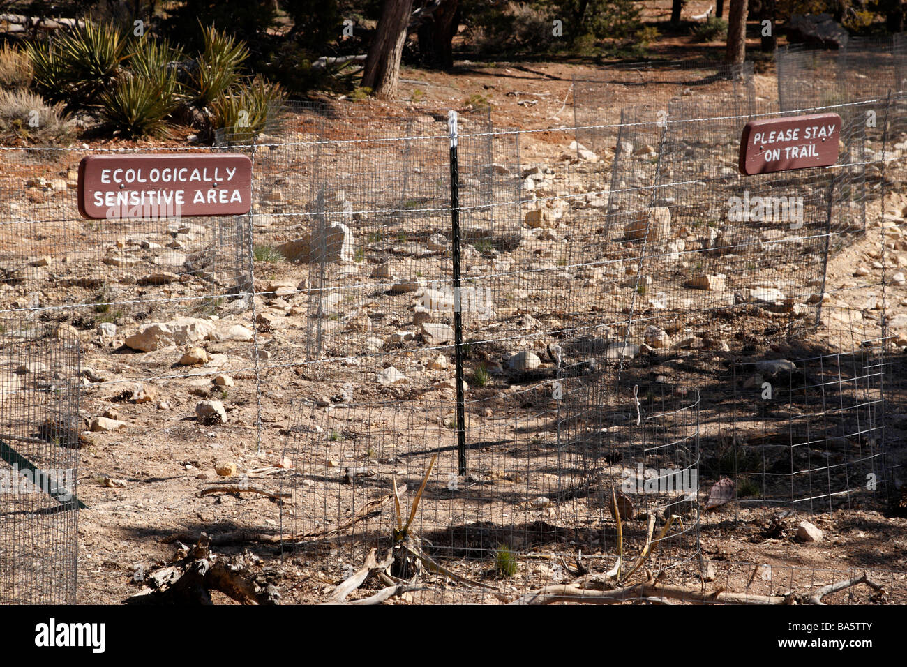 eingezäunt, ökologisch sensiblen Bereich an der Maricopa Point Grand Canyon Nationalpark Arizona usa Stockfoto
