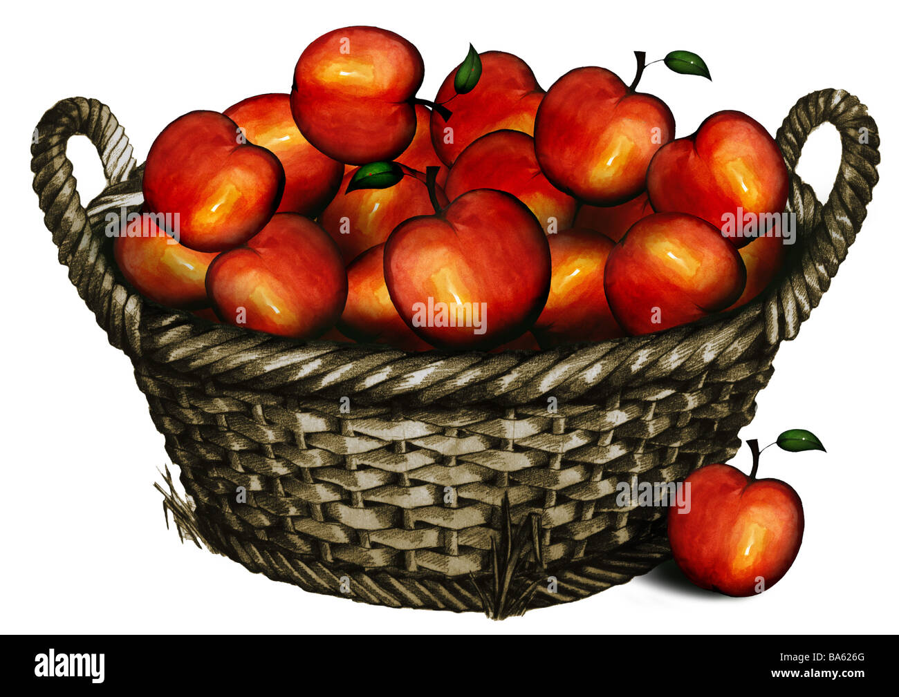 Abbildung Korb Äpfel Weide Korb Obstkorb Apfel-Korb Obst Früchtekorb Obst  Kernel-Obst gefüllt, voll geflochten Stockfotografie - Alamy