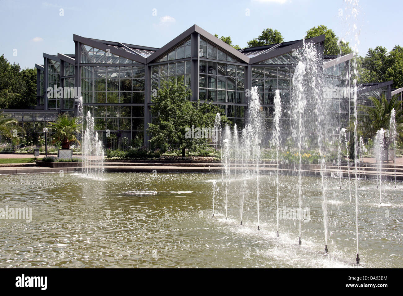 Germany Frankfurt Am Main Palm Stockfotos Und Bilder Kaufen Alamy