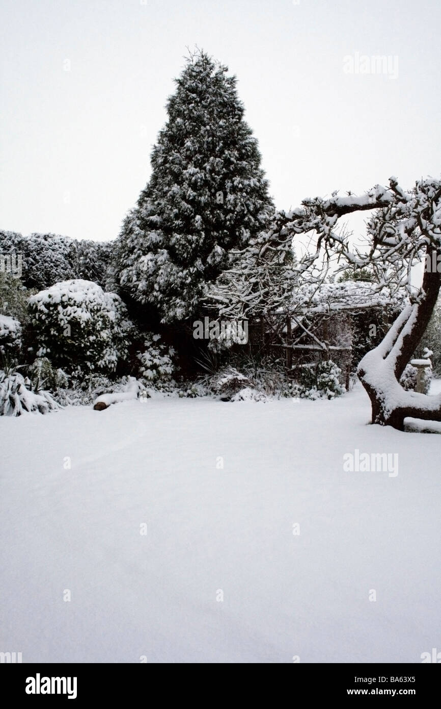 Weiße Schneelandschaft Stockfoto