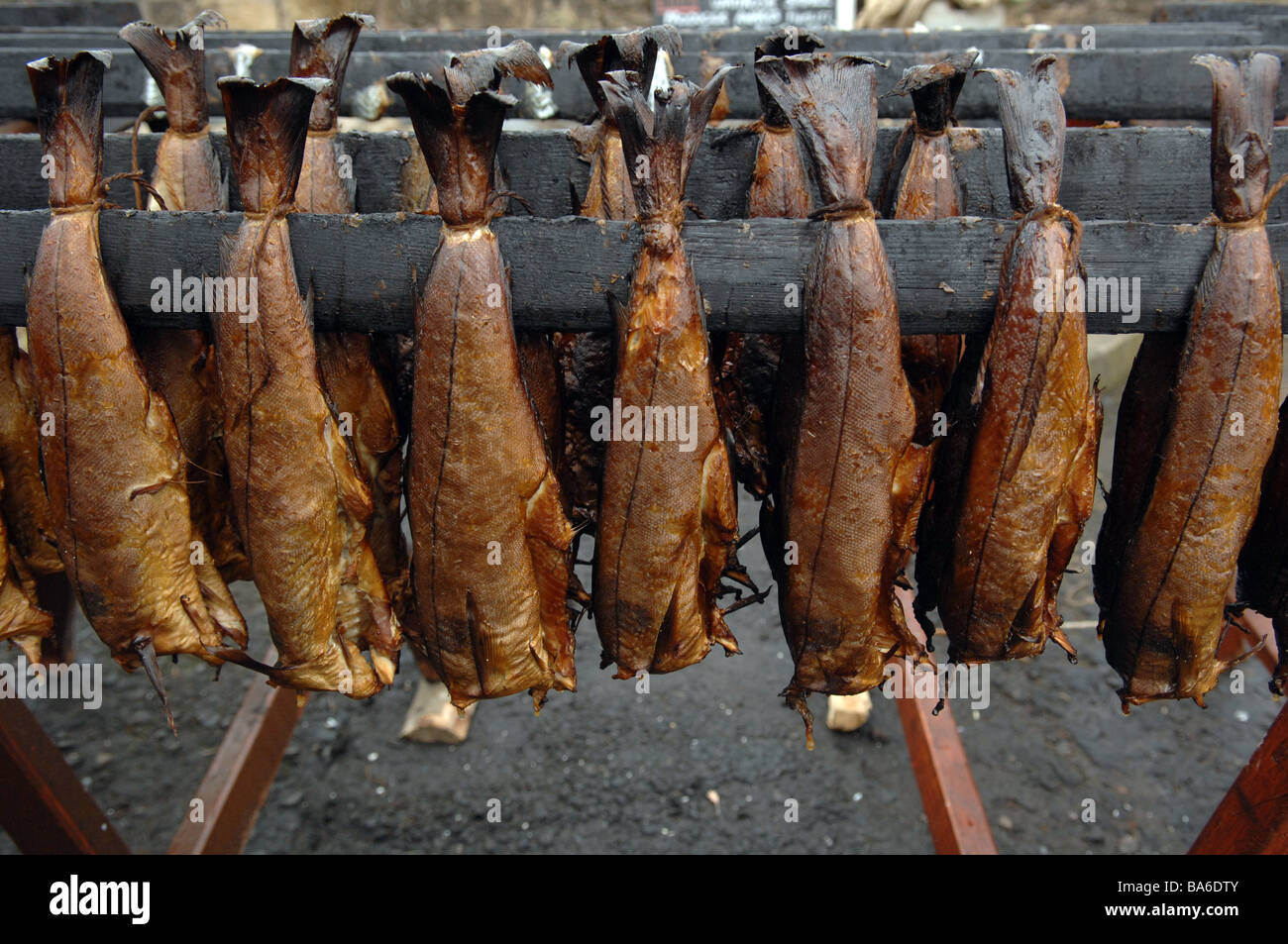 Arbroath Smokies vorbereitet Stockfoto