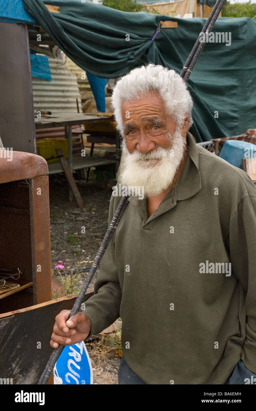 Neuseeland Maori-Aal-Catcher-Banks-Halbinsel Stockfoto