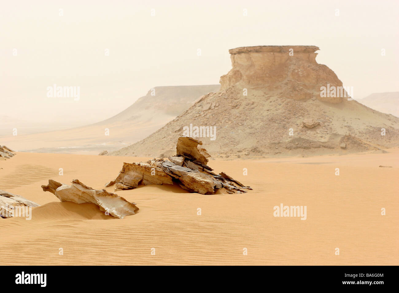 Ägypten-Libysche Wüste Mesa Natur Leben-negativ Vegetation locker Hitze Trockenheit staubigen sandigen weite menschlichen leer Entfernung Stockfoto