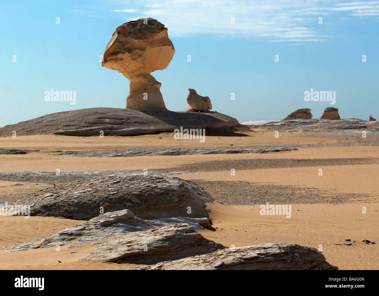 Ägypten-Libysche Wüste Felsformationen Natur Leben-negativ Vegetation locker Hitze Trockenheit staubigen sandigen Menschen leer weiß Stockfoto