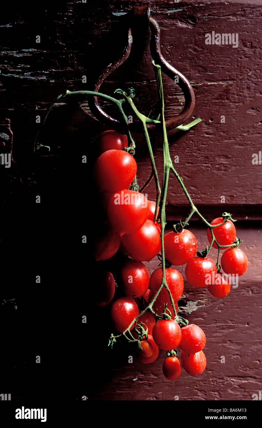 Italien, Toskana, Provinz Florenz, Cherry-Tomaten auf einen Türgriff Stockfoto