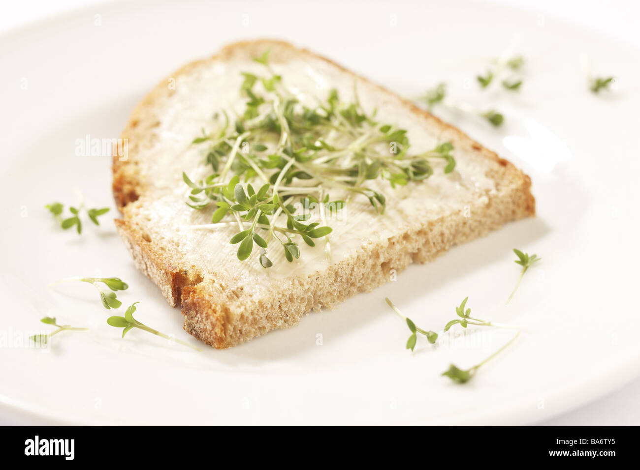 Platten-Kresse-Brot Ernährung zubereitetes Essen Essteller weiß ...