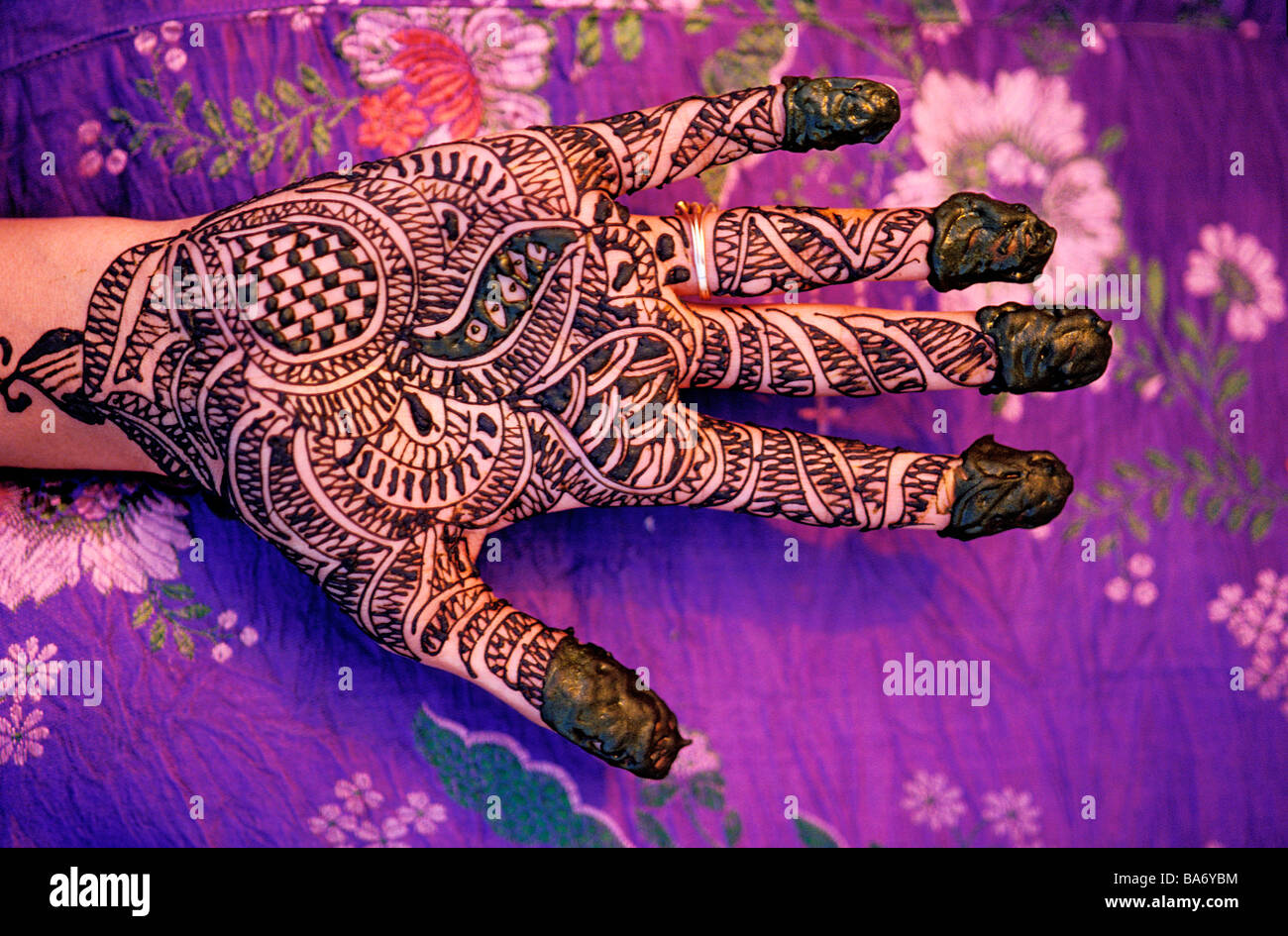 Indien, Rajasthan State, henna-Muster auf Seite Stockfoto
