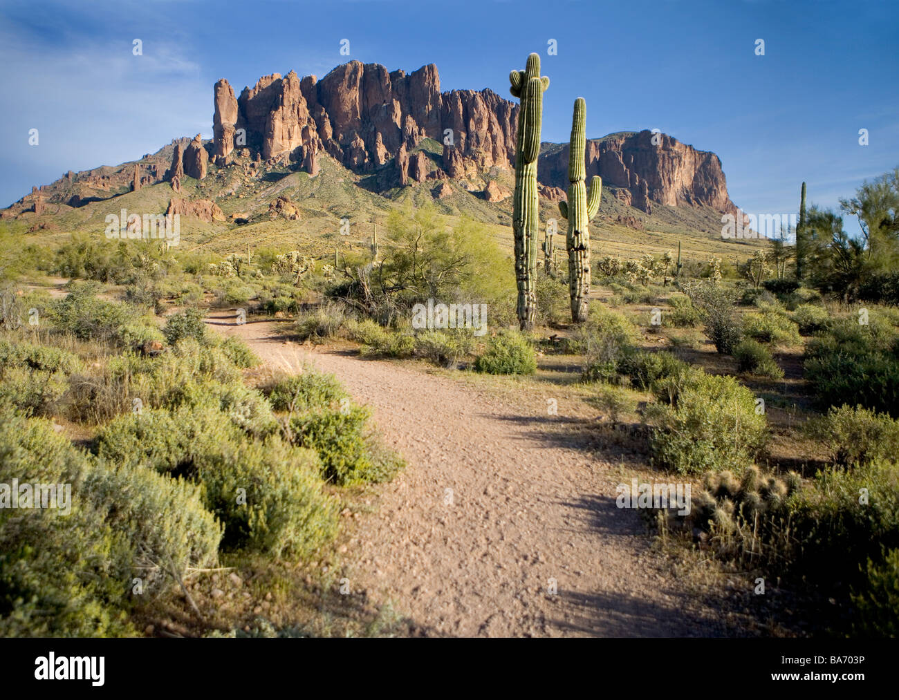 Superstition Mountains im Tonto National Forest Arizona Stockfoto