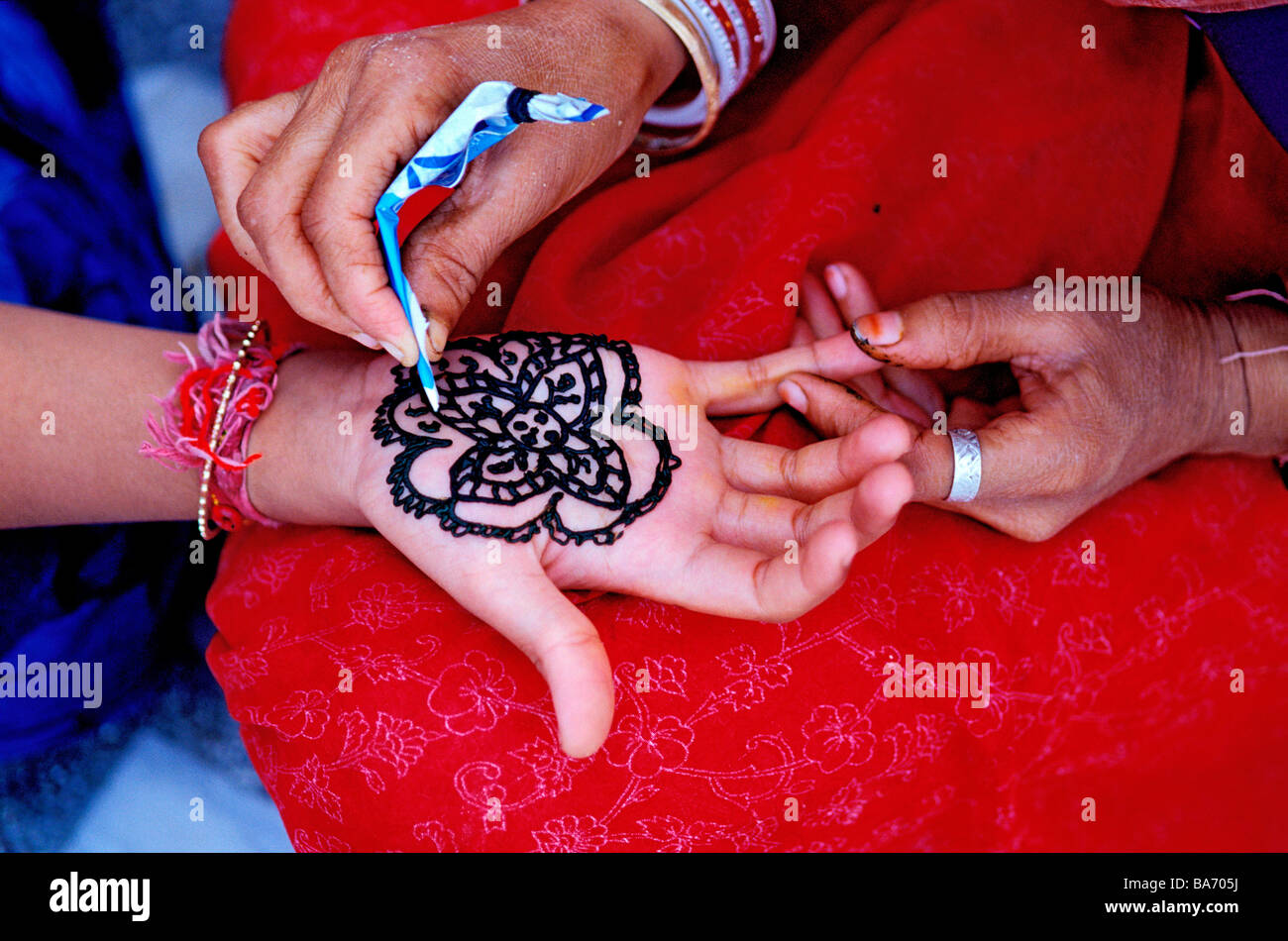 Indien, Rajasthan State, henna-Muster auf Seite Stockfoto