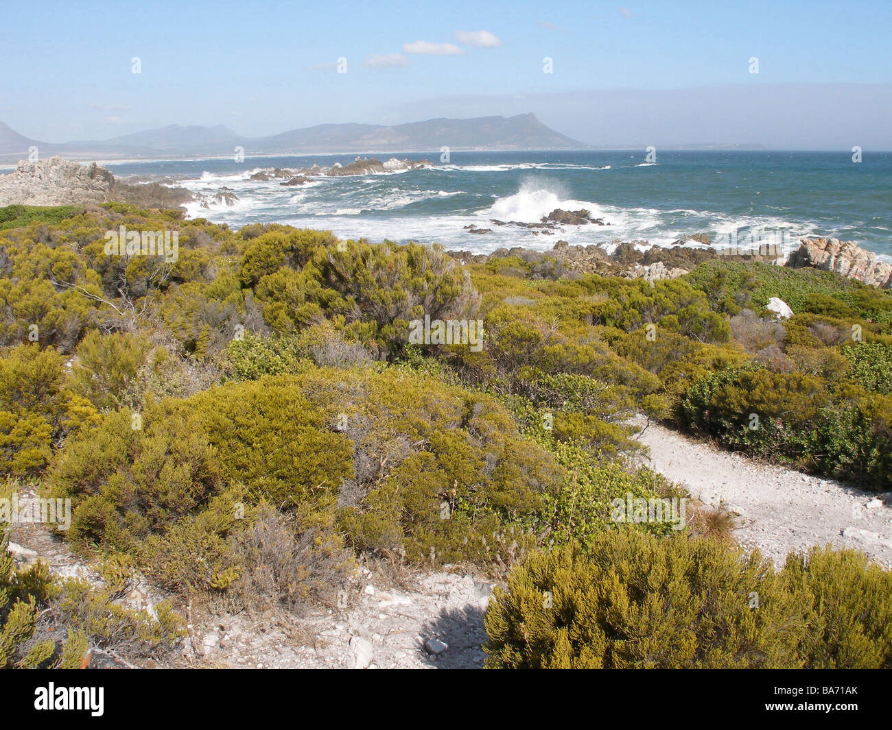 Südafrika Provinz Westkap klein-Mond Küste rockt Sträucher Afrika Western Cape Landschaft Küstenlandschaft Felsen-Küste Stockfoto