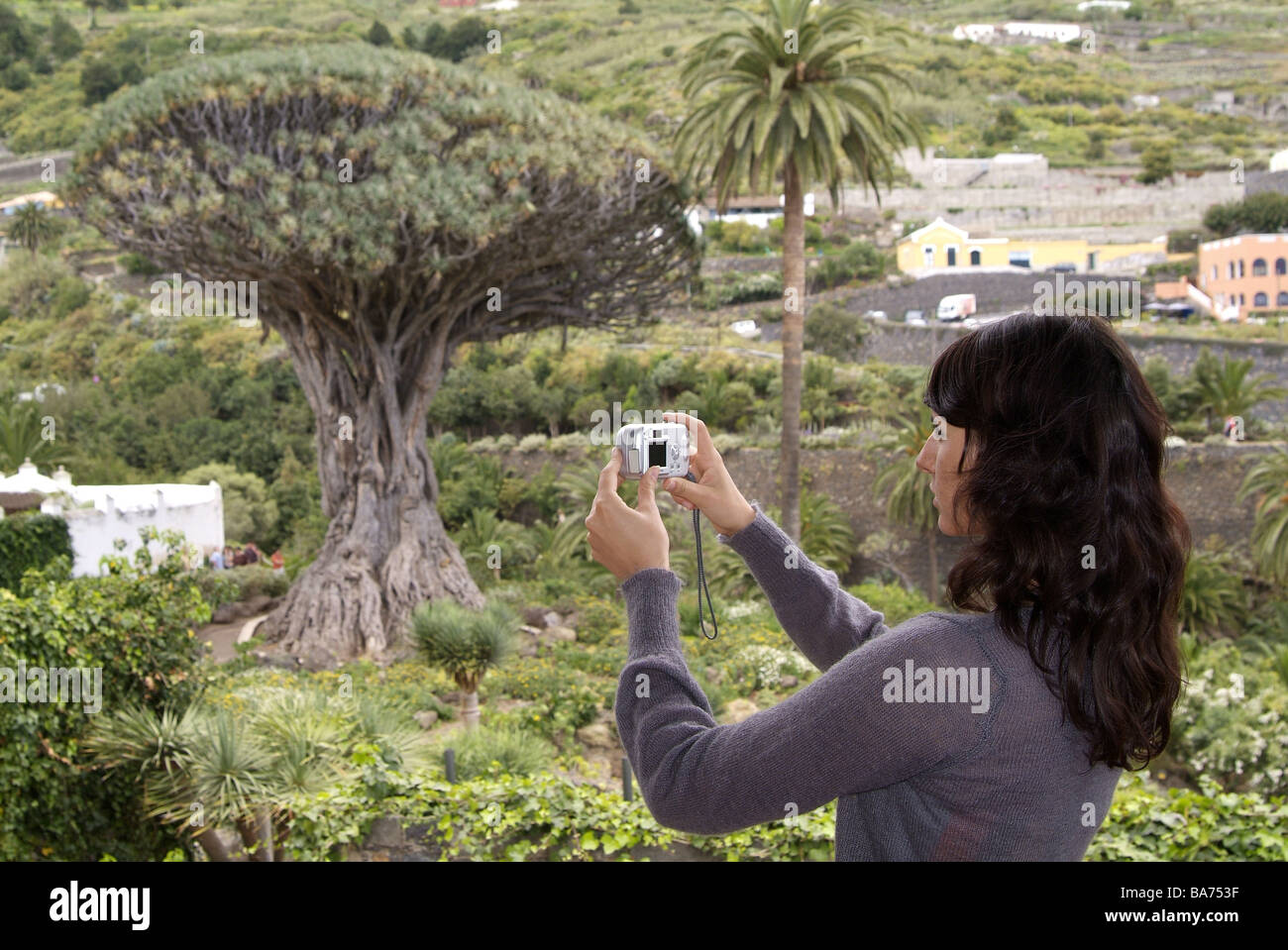 Spanien Kanaren Insel Teneriffa Icod de lose Vinos Drachenbaum Frau junge Fotos 20-30 Jahre alten Baum-Digitalkamera Stockfoto