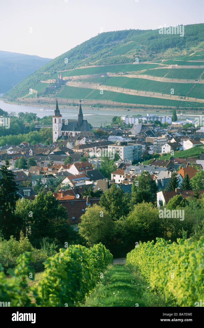Blick auf Rüdesheim, Rheingau, Hessen, Deutschland Stockfoto