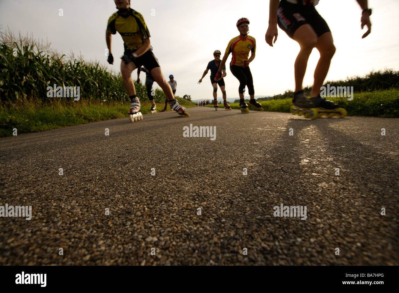 Fünf Inline-Skater, Menschen fünf Inline-skating in der Nähe von Weinfelden, Bodensee, Schweiz Stockfoto