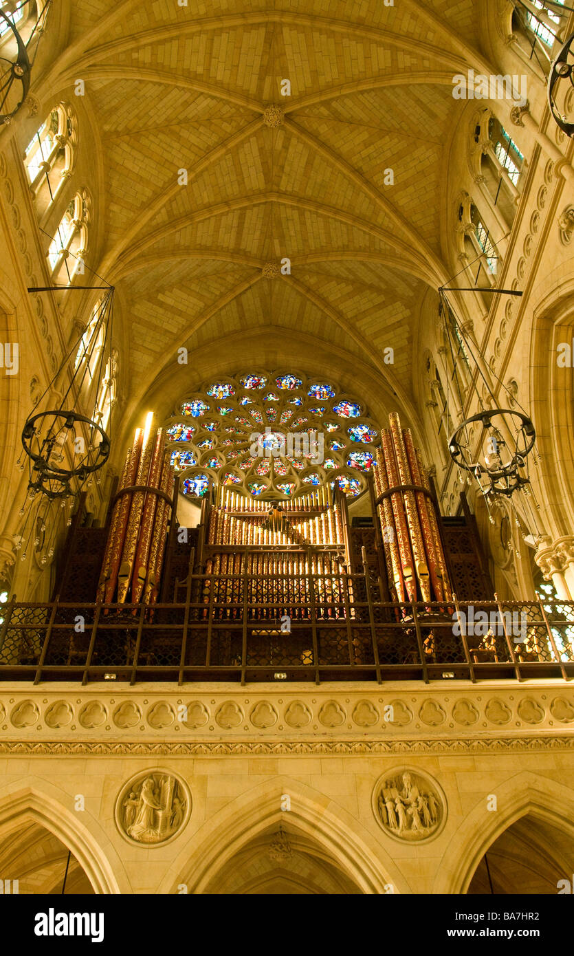 Arundel Kathedrale Orgelempore Stockfoto