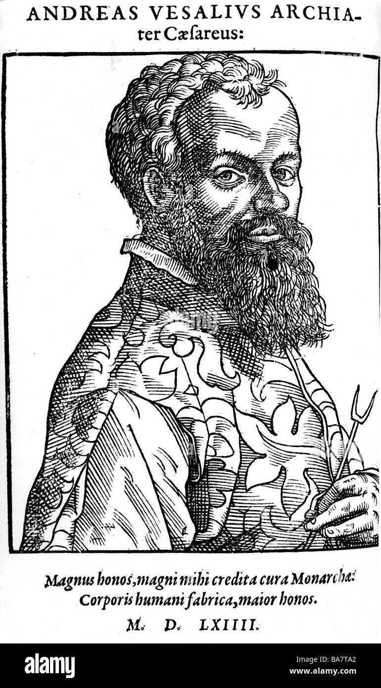 Vesalius, Andreas, 31.12.1514 - 15.10.1564, deutscher Arzt, Porträt, Kupferstich, "Icones, Imagines Virorum Illustrium Literis" von Nikolaus Reusner, Straßburg 1590, Artist's Urheberrecht nicht gelöscht werden Stockfoto