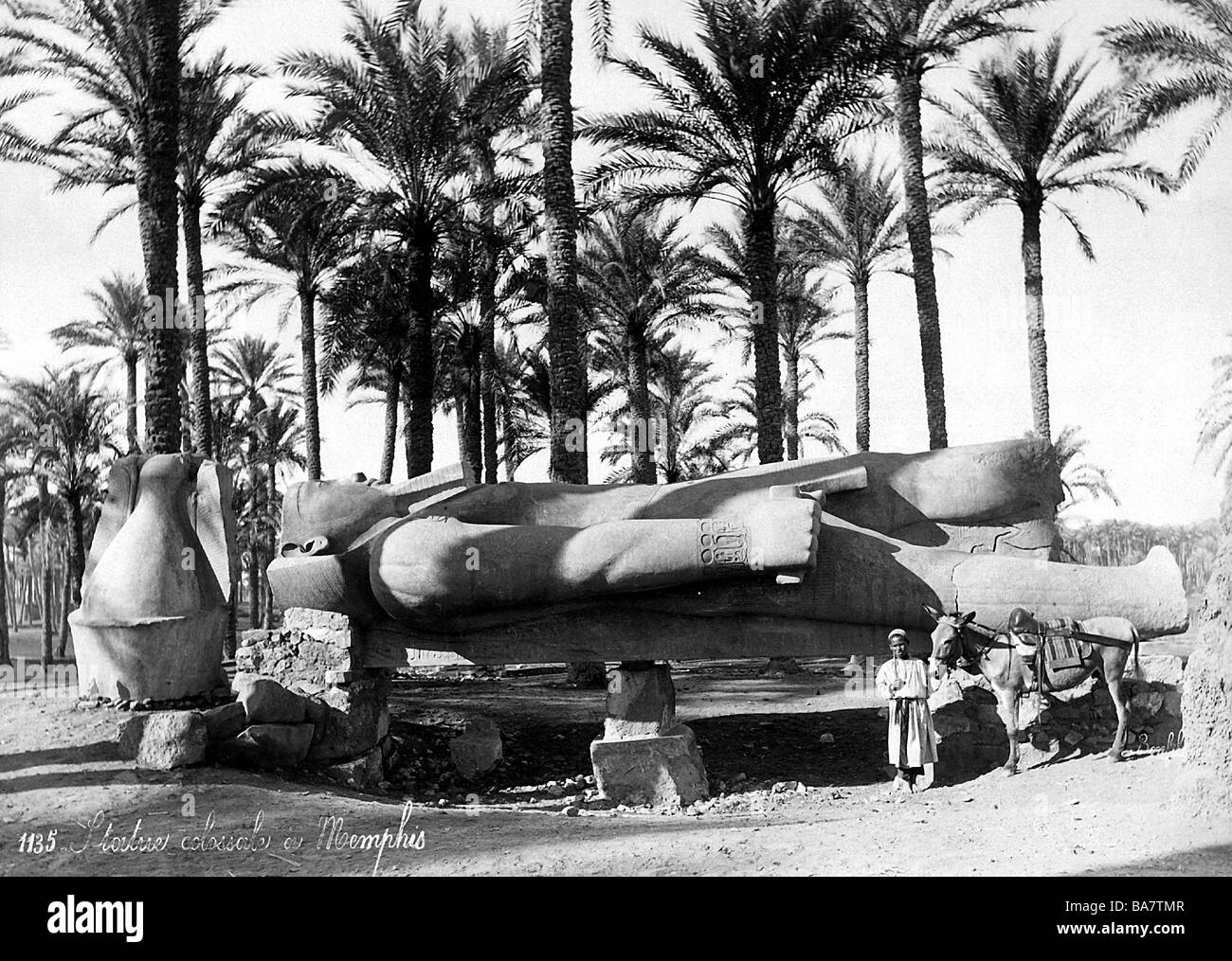 Ramesses II "Der Große", Pharao von Ägypten 1279 - 1213 v. Chr. (19. Dynastie), Riesenstatue, Memphi, Ägypten, Foto vor 1900, Stockfoto