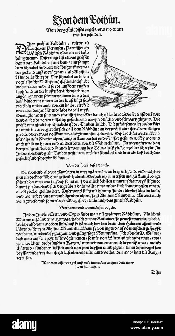 Zoologie/Tiere, Lehrbücher, "Historia animalium", von Conrad Gessner, Zürich, Schweiz, 1551 - 1558, Rotbeinfeldtridge (Alectoris rufa), Holzschnitt, Stockfoto