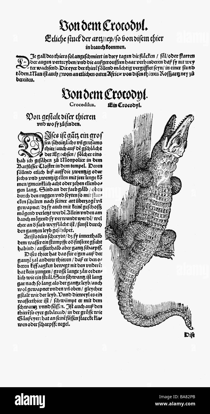 Zoologie/Tiere, Lehrbücher, "Historia animalium", von Conrad Gessner, Zürich, Schweiz, 1551 - 1558, Krokodil (Crocodilia), Holzschnitt, Stockfoto