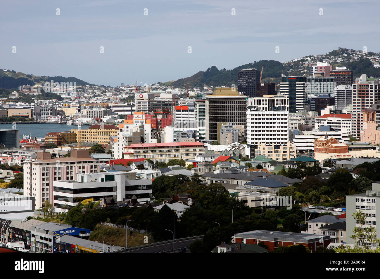 Blick auf die Stadt von Wellington, Neuseeland Stockfoto