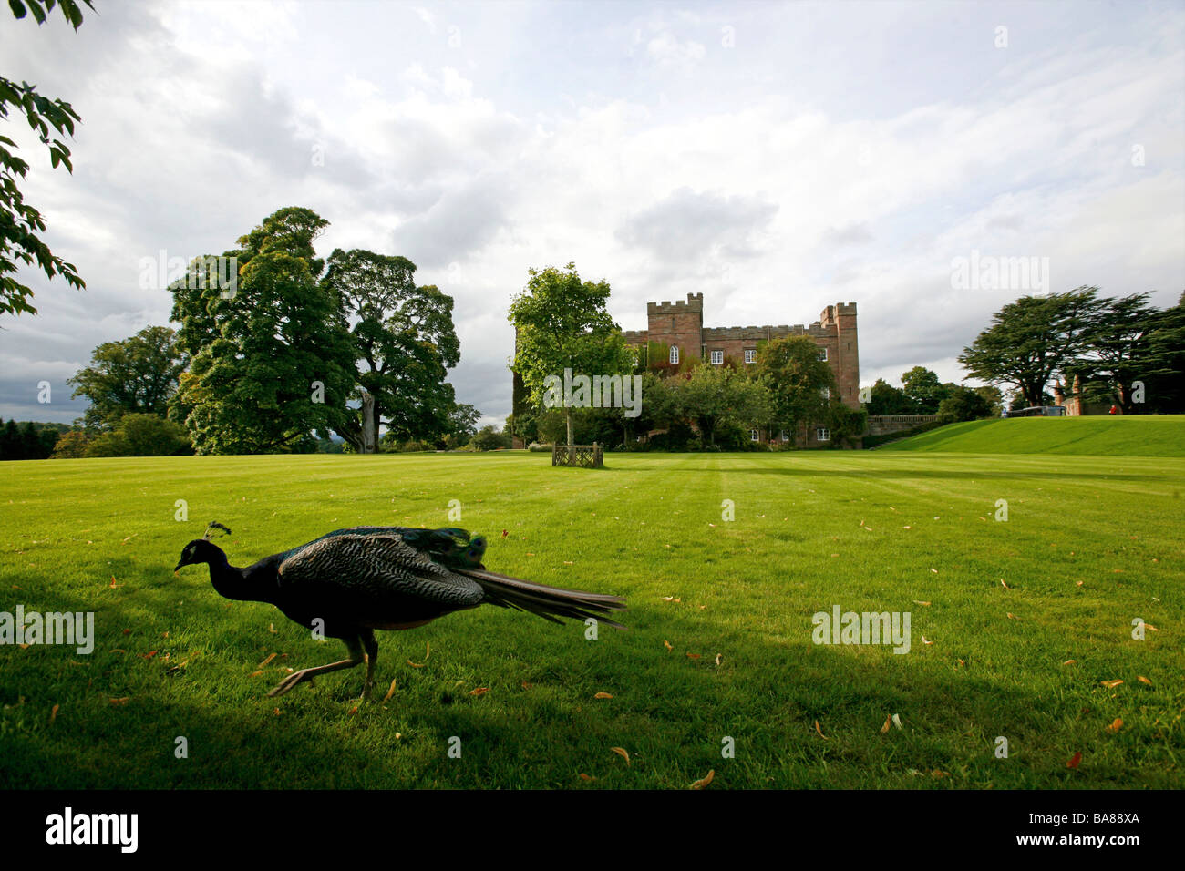 Schottland: Scone Palace Stockfoto