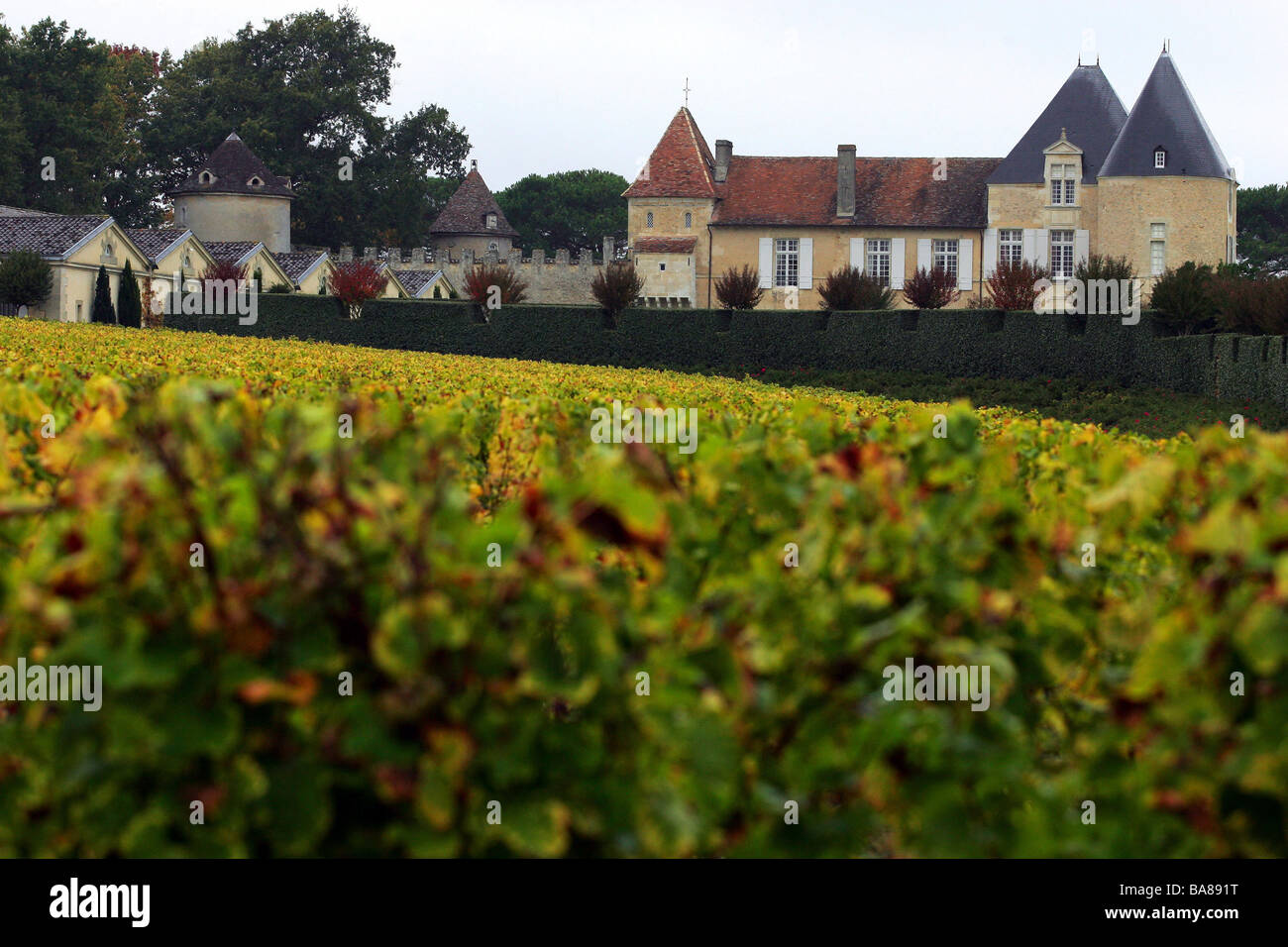 Sauternes (33): die 'Château d ' Yquem'-Eigenschaft Stockfoto