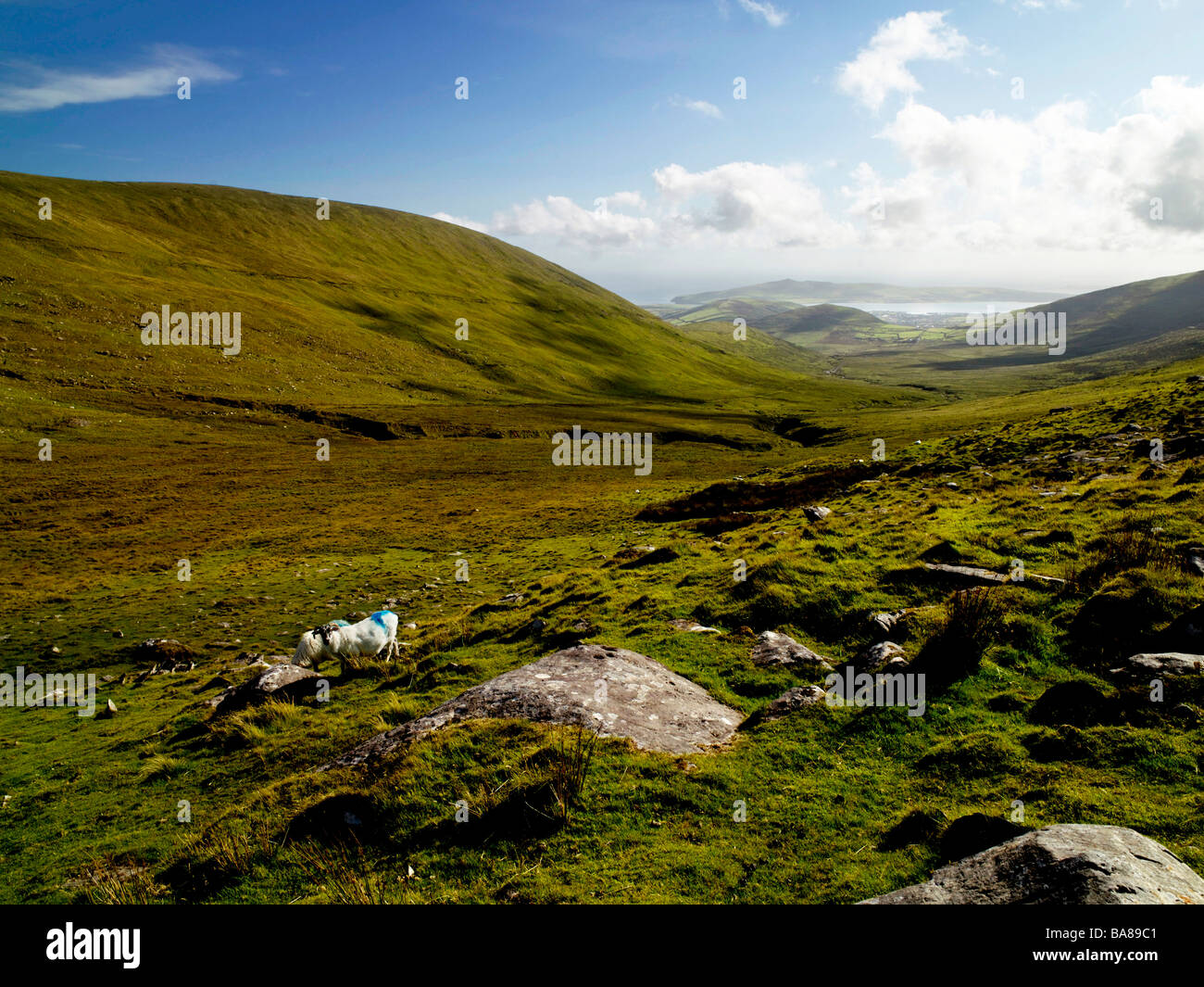 Connor Pass-Dingle-Kerry Stockfoto