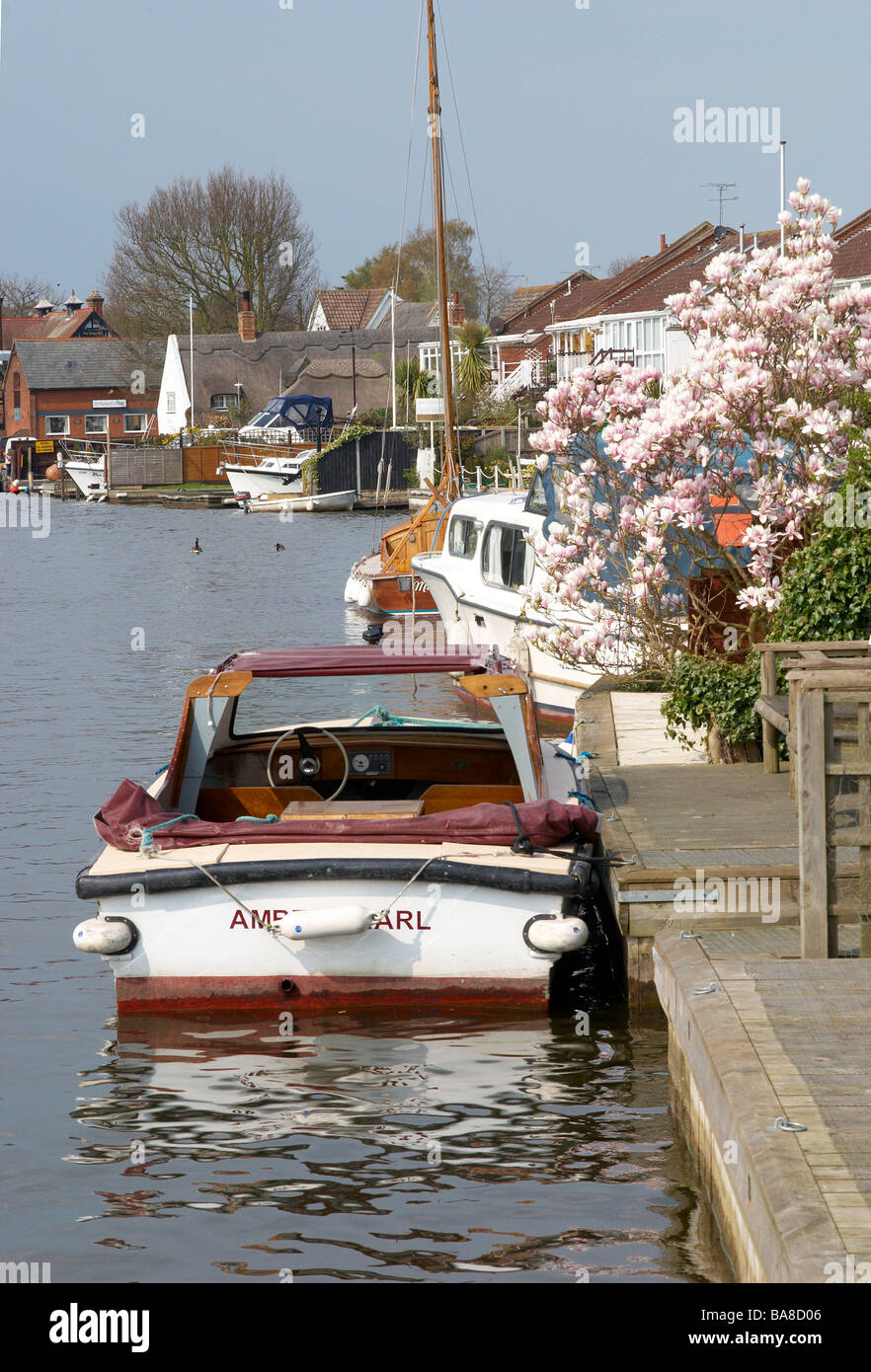 Der Fluss Bure Horning zu erreichen, auf der Norfolk Broads, England mit Motorboot und Start an einem Frühlingstag. Stockfoto