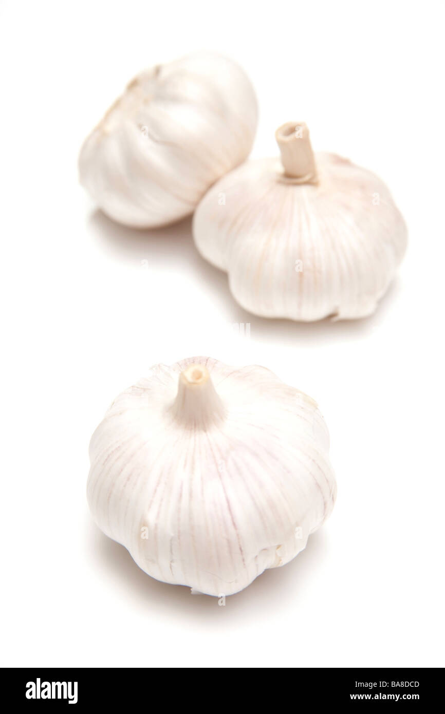 Knoblauch, isoliert auf einem weißen Studio-Hintergrund Stockfoto