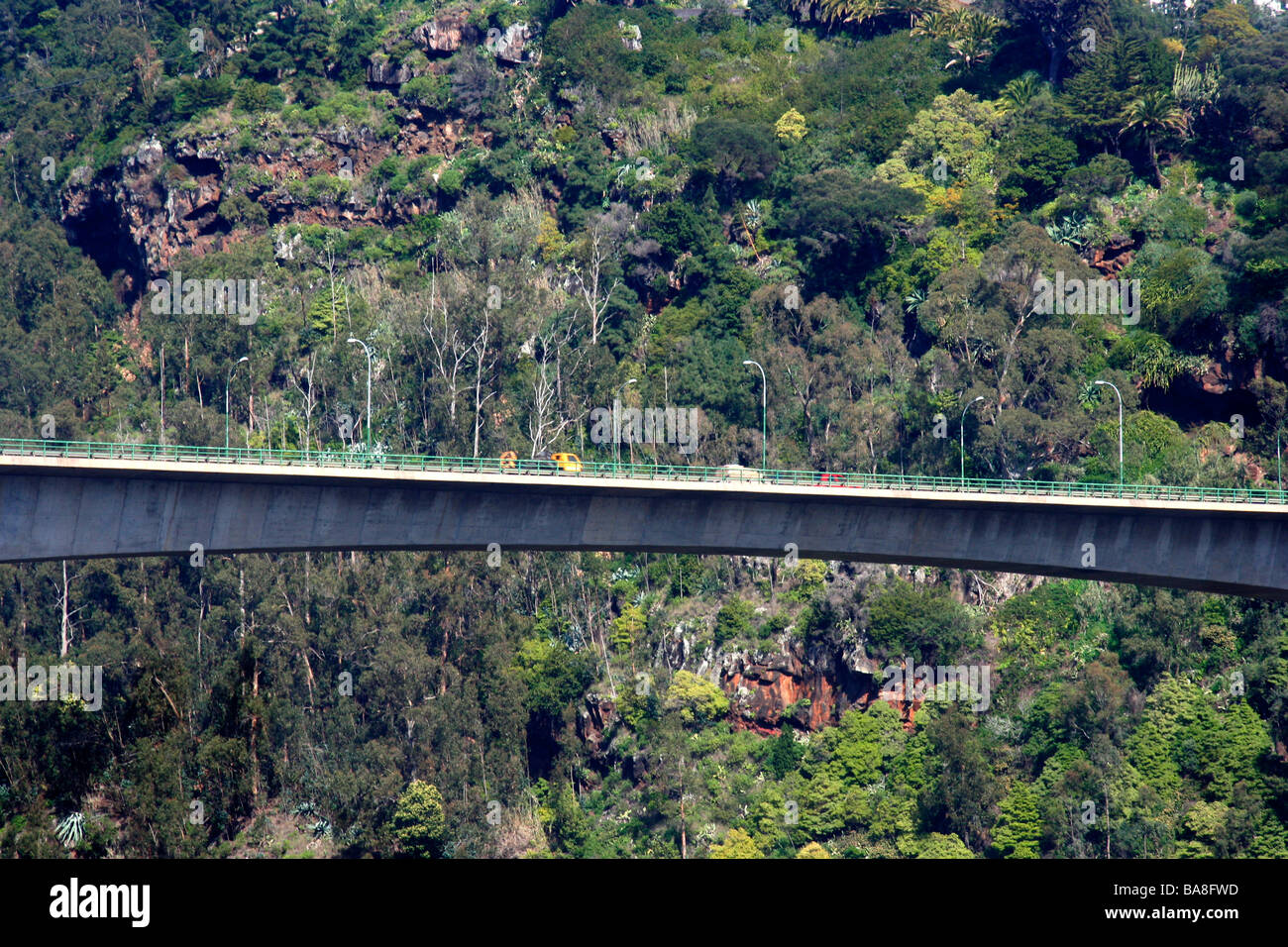 Autobahnbrücke Madeira Stockfoto