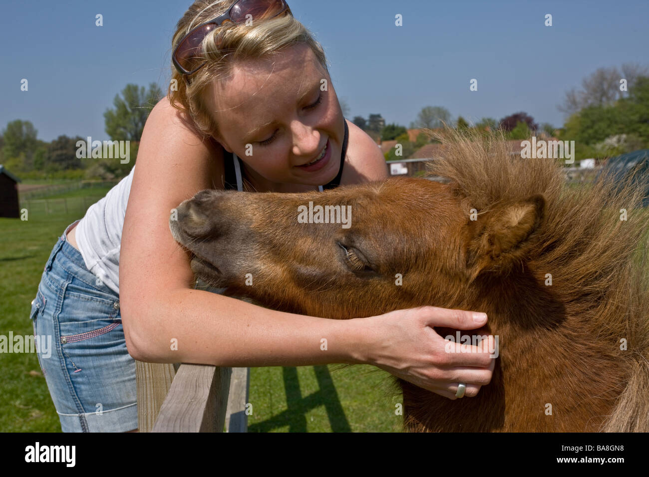 Mädchen und kleine Pony gegenseitige Fellpflege Stockfoto