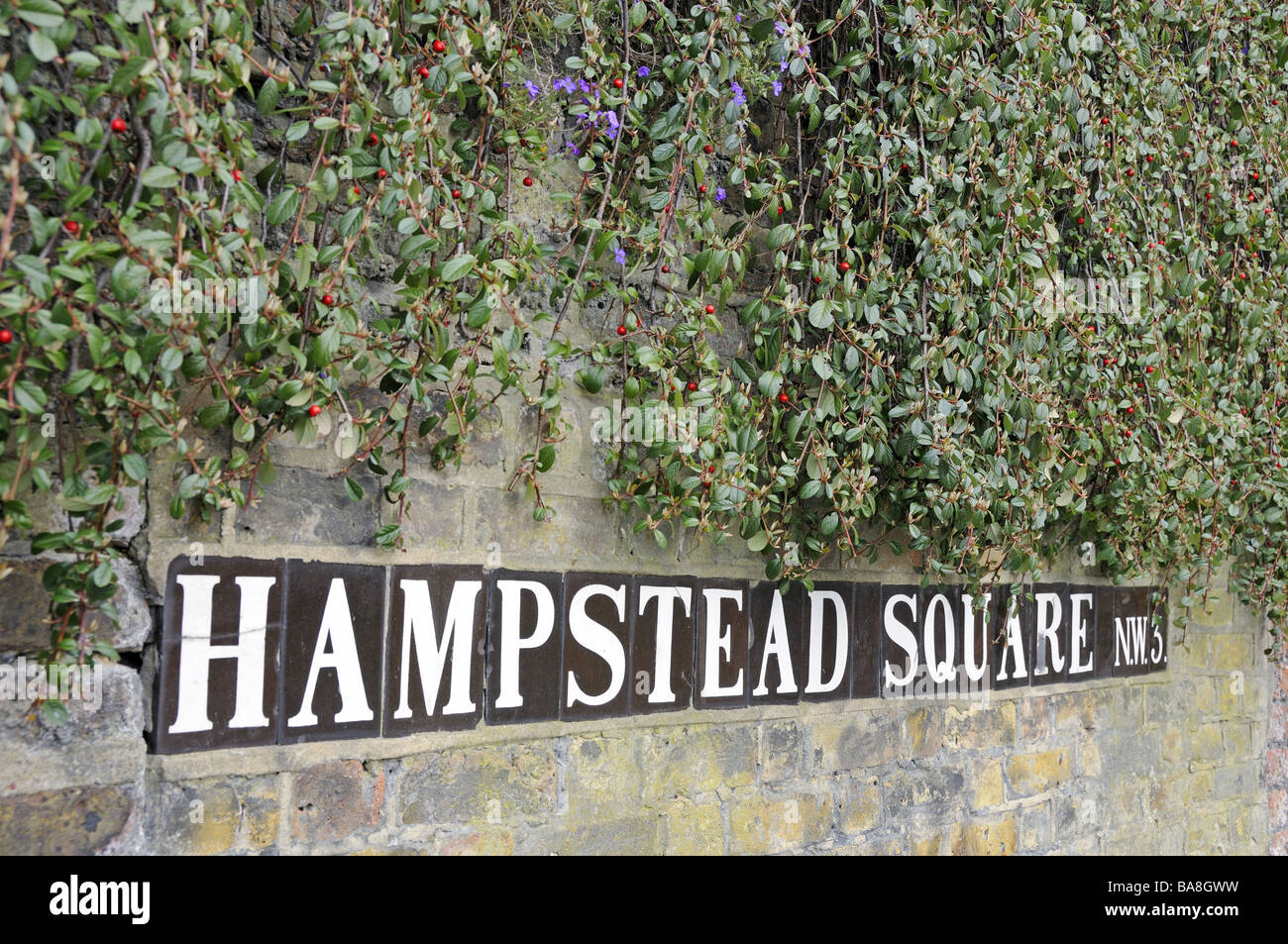 Hampstead Square NW3 Straßenschild London England UK Stockfoto